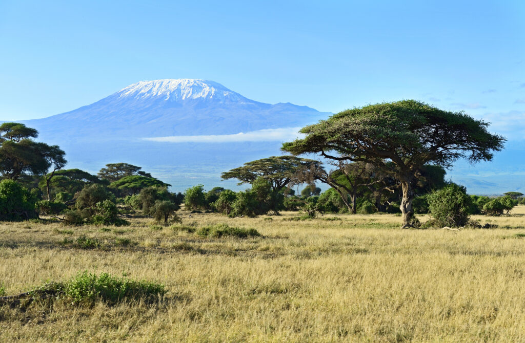 Kilimanjaro Senza Glutine